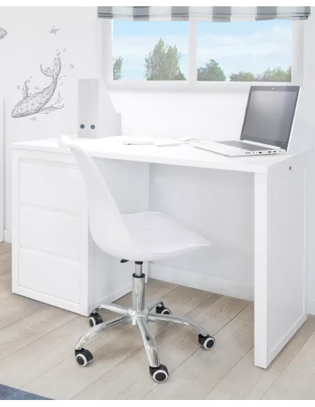 secretaria lineal-entrega gratuita