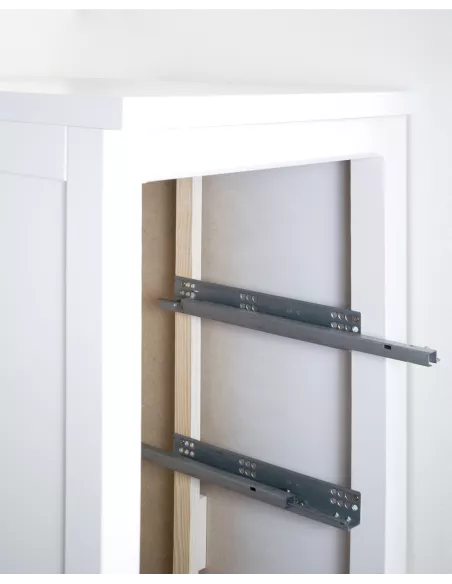 secretaria lineal-entrega gratuita