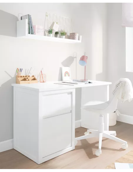 secretaria lineal-entrega gratuita