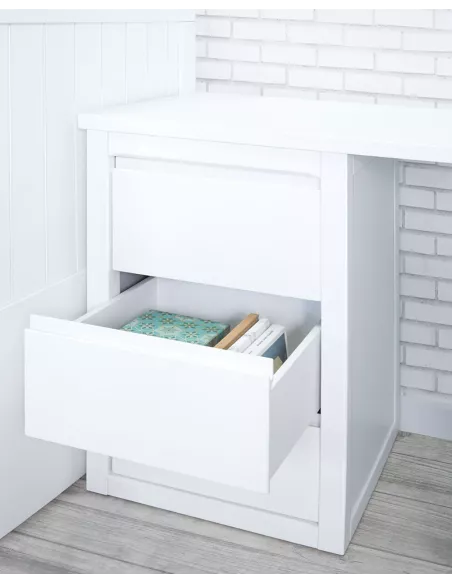 secretaria lineal-entrega gratuita