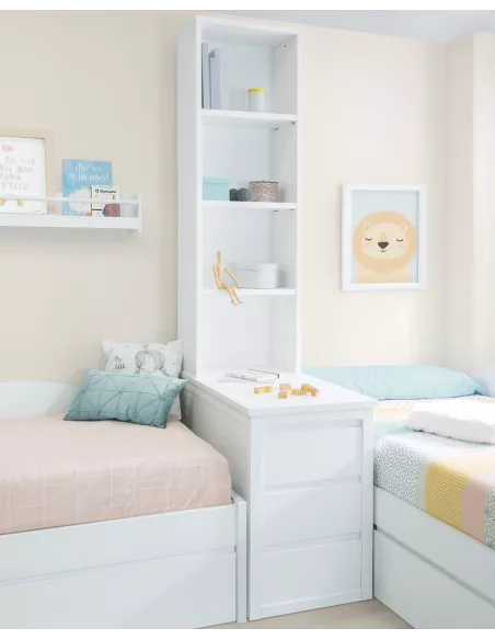 Estante biblioteca juvenil Lineal - Entrega Lineal