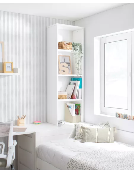 Estante Biblioteca sobre secretária Lineal