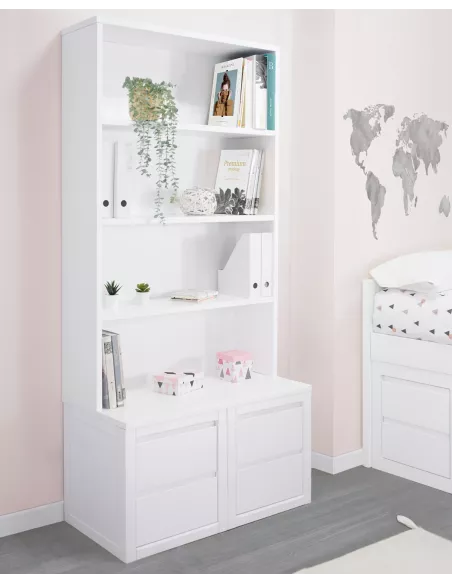 estante biblioteca lineal-entrega gratuita